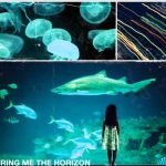 Lirik Lagu (I Used to Make Out With) Medusa - Bring Me The Horizon